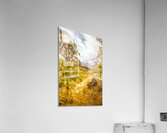 Lofty Heights Acrylic Print