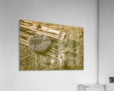 Old Hat Acrylic Print