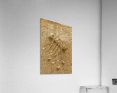 Match Sticks Acrylic Print