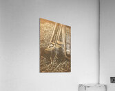 Past Game Memoirs Acrylic Print