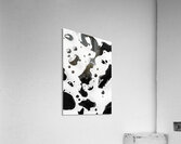 Blotchy Acrylic Print