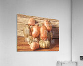 Gourd Almighty Acrylic Print