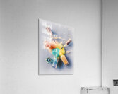 Unvarnished Acrylic Print