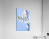 Finger Puppets Acrylic Print