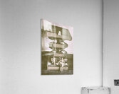 Novella Acrylic Print