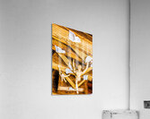 Stories High Acrylic Print