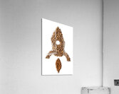 Rocket Fuel Acrylic Print