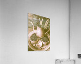 Dive In Or Takeaway Acrylic Print