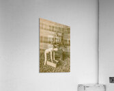 Classic Coffeemaker Acrylic Print