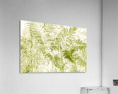 Ferny Forestry Acrylic Print