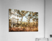 High Country Acrylic Print