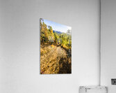 Rural Route Acrylic Print