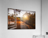 Rural Reds Acrylic Print