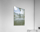 Barren Winterscape Acrylic Print