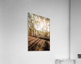 Valley Ridge Road Acrylic Print