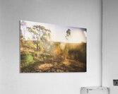 Flares And Fades Acrylic Print