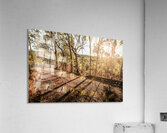 Upcountry Ridgeline Acrylic Print