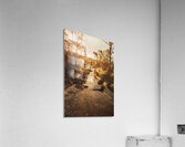 Sunflare Thoroughfare  Acrylic Print