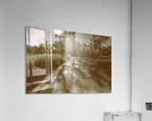 Tessellated Trail Acrylic Print