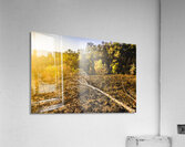 Awash In Sundown Acrylic Print