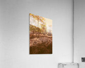 Afternoons Afterglow Acrylic Print