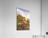 Sunflare Valley Views Acrylic Print