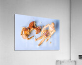 Party Puppets  Acrylic Print