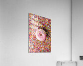 Sprinkle Of Sweetness Acrylic Print