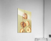 Party Tricks Acrylic Print