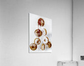 Finishing Touches Acrylic Print