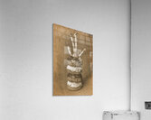 Dough Nutter Acrylic Print