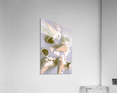 Waffle On Acrylic Print