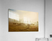 Foggy Farm Acrylic Print