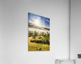 Valley Fogs Acrylic Print