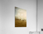 Cow Country Acrylic Print