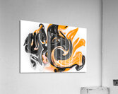 Swooning Acrylic Print