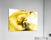 Gyration  Acrylic Print