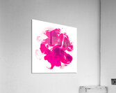 Floral Form Acrylic Print