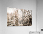 Harmonious Fades Acrylic Print