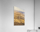 Bucolic Beige Acrylic Print