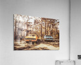 Double Trouble Acrylic Print