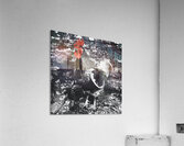 Red Rooster Acrylic Print