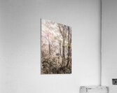 Calm Subtleties Acrylic Print