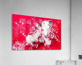 Roller Ball Acrylic Print