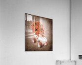 In Playful Sentiments  Acrylic Print