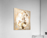 Rink of Fire Acrylic Print