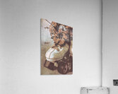 Faded Summer Memories Acrylic Print