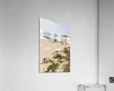 Queensland Calm Acrylic Print