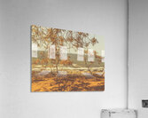 Autumn Whispers Acrylic Print