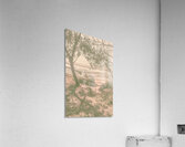 Dune Wash Acrylic Print